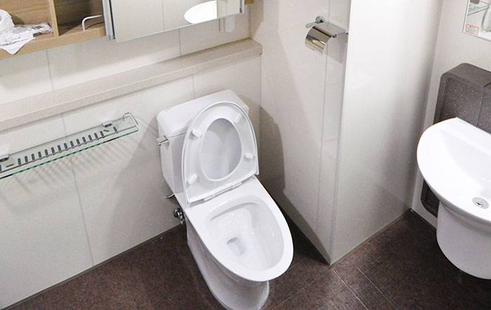 Best-Flushing-Toilet