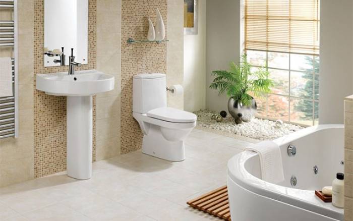 Best One Piece Toilet