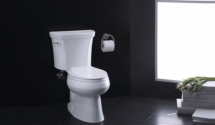 KOHLER-Wellworth-Toilet-Review