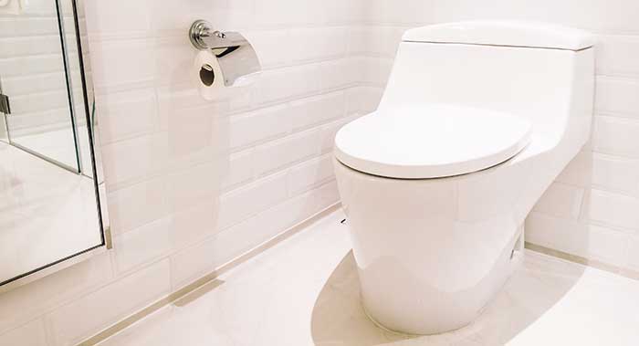 How Much Does a Toilet Weigh