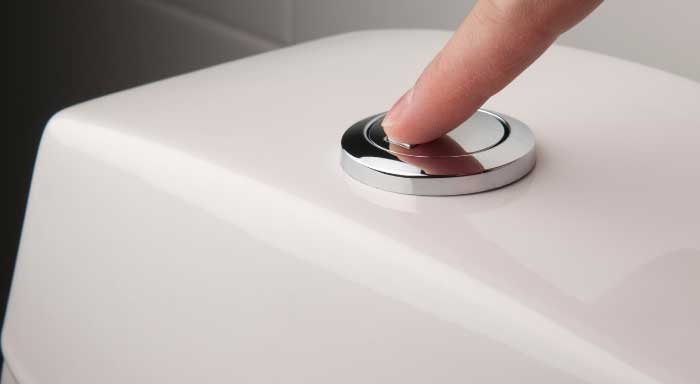 Types of Toilet Flush Systems