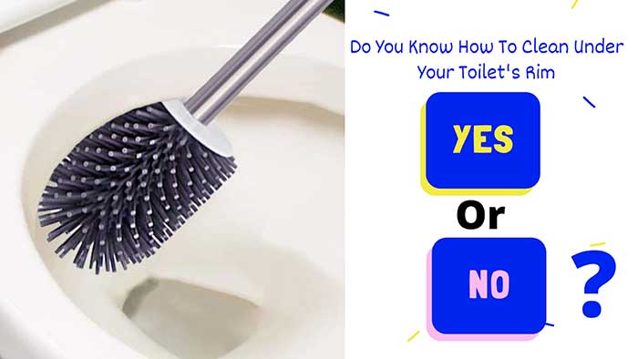 How to Clean Under The Toilet Rim