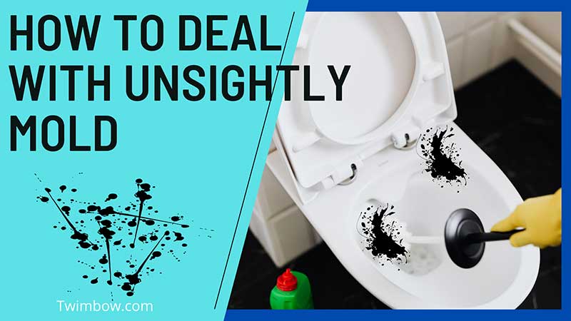 5 Effective Ways to Treat Mold in Your Toilet Tank and Bowl